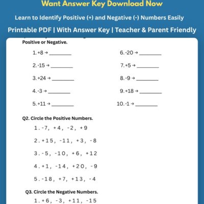 free positive and negative numbers identification worksheet | grade 6