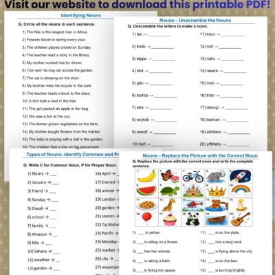 class 2 english grammar noun worksheet