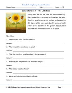 class 3 free comprehension worksheet