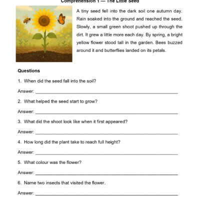 class 3 free comprehension worksheet