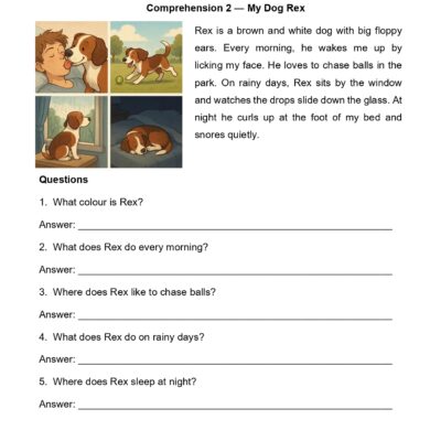 class 3 comprehension worksheet