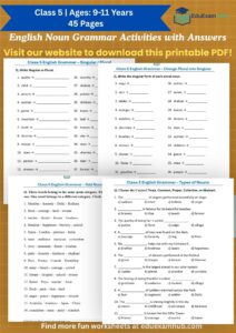 class 5 noun grammar activities
