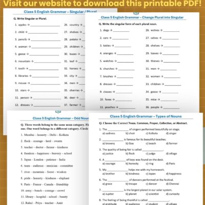 Home class 5 noun grammar activities