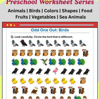 odd one out birds
