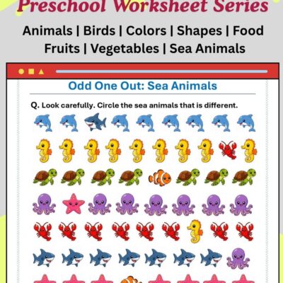 odd one out sea animals