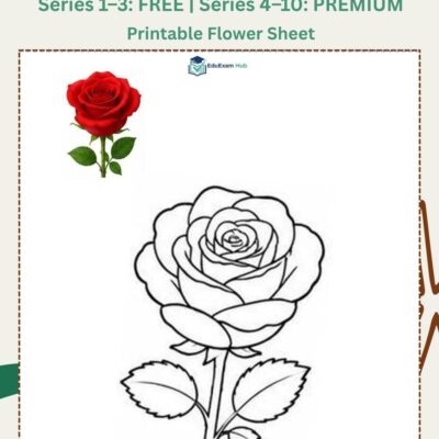 series 1 rose coloring page