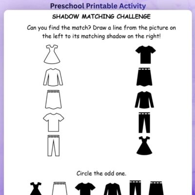 series 10 clothing shadow matching worksheet