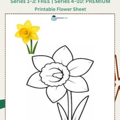 series 10 daffodil coloring page