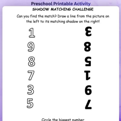 series 2 number shadow matching worksheet