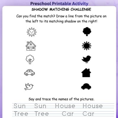 series 3 picture shadow matching worksheet