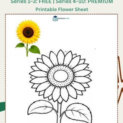 series 3 sunflower coloring page