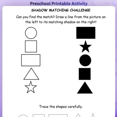 series 4 shapes shadow matching worksheet