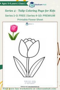 series 4 tulip coloring page