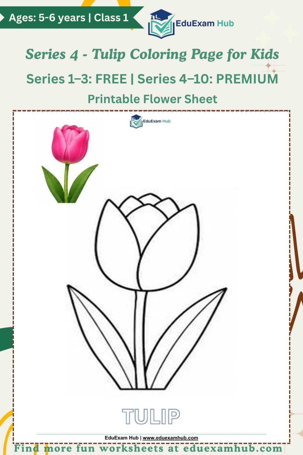 series 4 tulip coloring page series 4 tulip coloring page