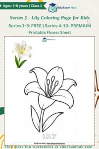series 5 lily coloring page