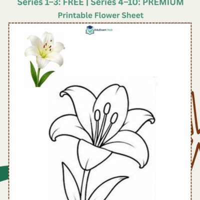 series 5 lily coloring page