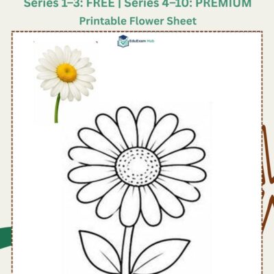 series 6 daisy coloring page