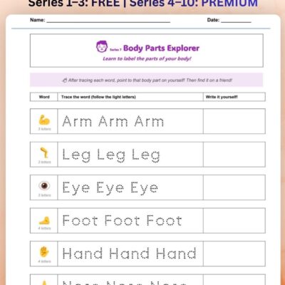 series 7 body parts vocabulary tracing worksheet