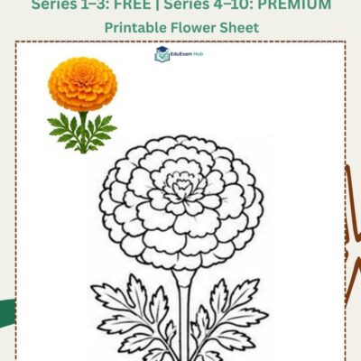series 7 marigold coloring page