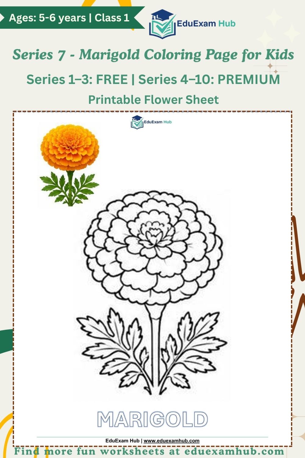 series 7 marigold coloring page series 7 marigold coloring page
