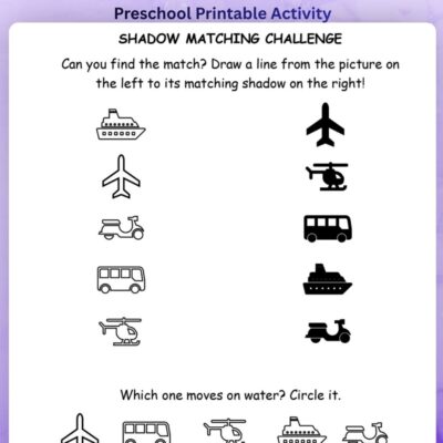 series 7 transportation shadow matching worksheet