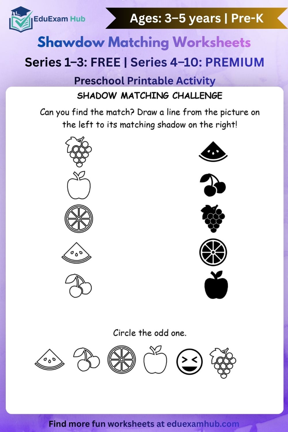 series 8 fruit shadow matching worksheet series 8 fruit shadow matching worksheet
