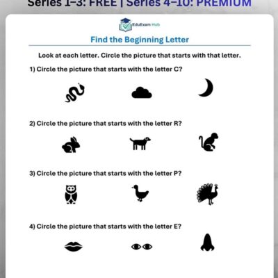 series 9 beginning letter sounds worksheet
