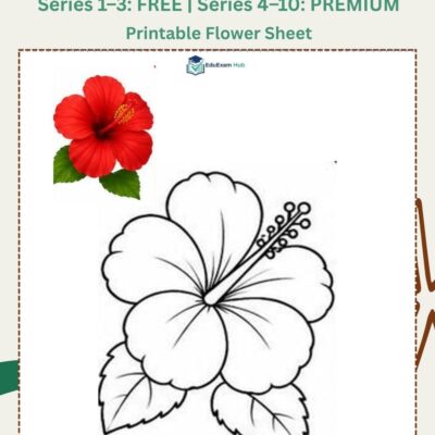 series 9 hibiscus coloring page