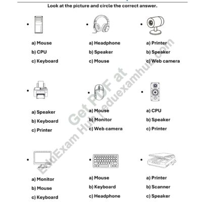 circle the correct computer part – class 1 computer worksheet
