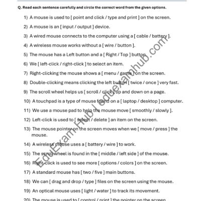 computer mouse worksheet class 1