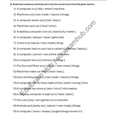 Home computer smart machine worksheet class 1
