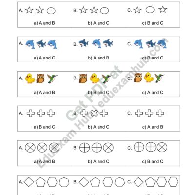 find the pair – matching & visual memory