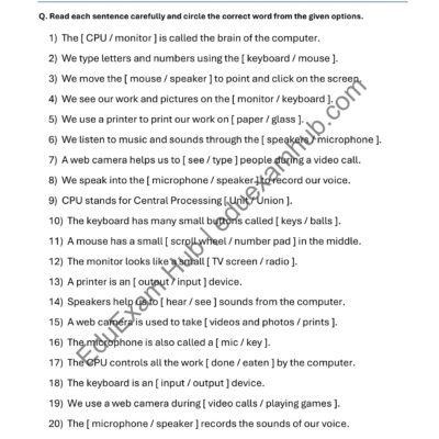 Home parts of a computer worksheet class 1