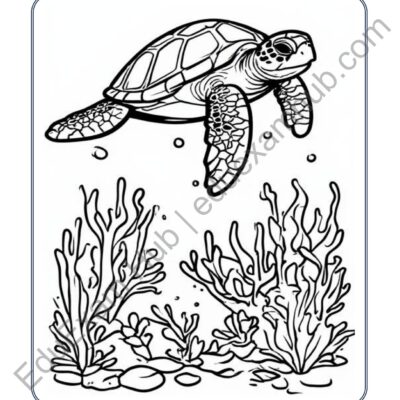 sea turtle ocean coloring page