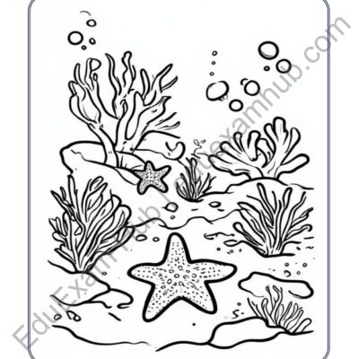 starfish ocean coloring page