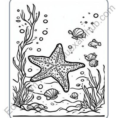starfish and seashells ocean coloring page
