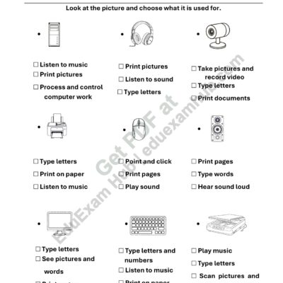 uses of computer parts – class 1 computer worksheet