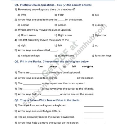 class 1 arrow keys class 1 worksheet