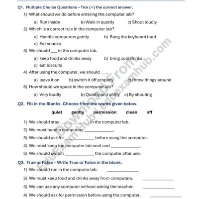class 1 computer lab rules worksheet