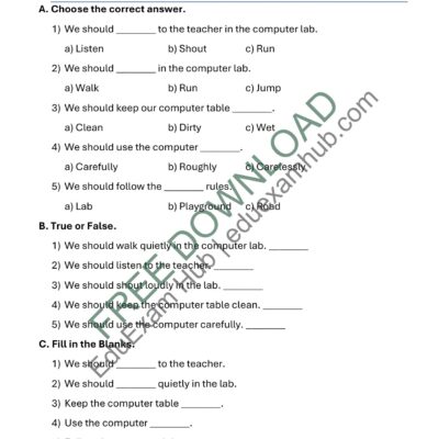 Home class 1 computer lab rules worksheet