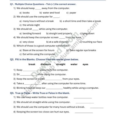 class 1 computer safety rules worksheet