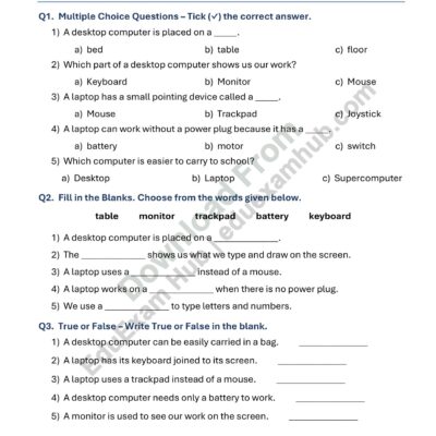 class 1 desktop and laptop worksheet