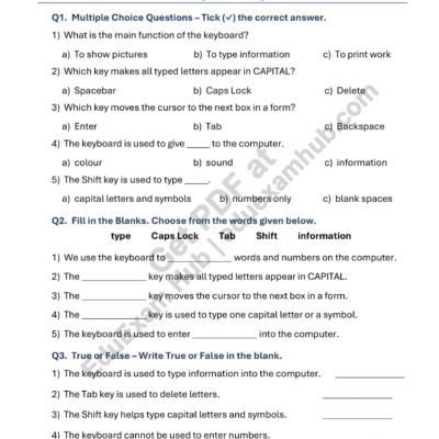 class 1 function of keyboard keys worksheet