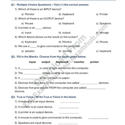 class 1 input and output devices worksheet