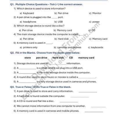 class 1 storage devices for kids worksheet