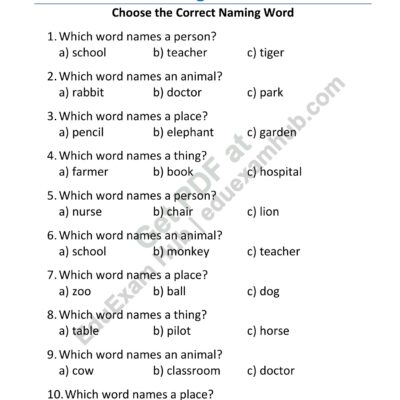 class 2 naming words choose the correct noun