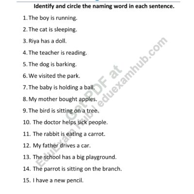 class 2 naming words identify and circle