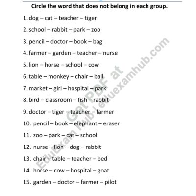 class 2 naming words odd one out worksheet