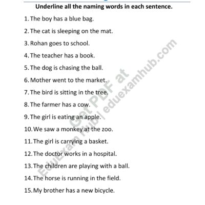 class 2 naming words underline the nouns