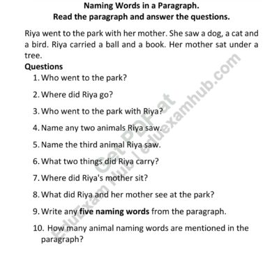 class 2 naming words in a paragraph worksheet